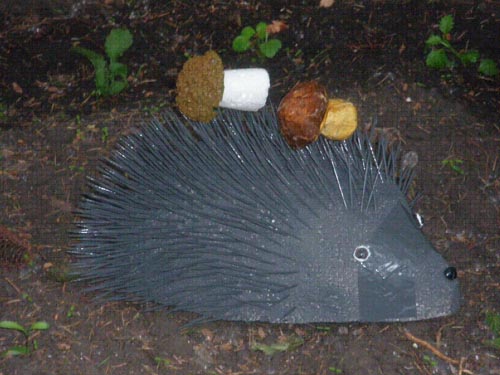 конкурс